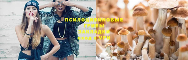 спайс Баксан