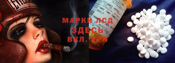спайс Баксан