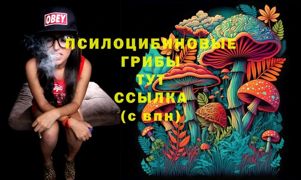 спайс Баксан