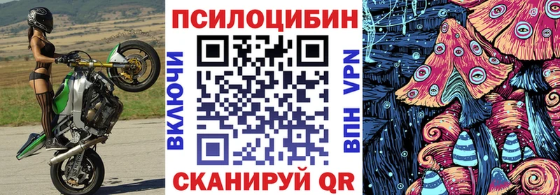где можно купить наркотик  MEGA онион  Псилоцибиновые грибы MAGIC MUSHROOMS  Заозёрск 